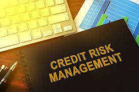Six Steps for Successful Credit Risk Management