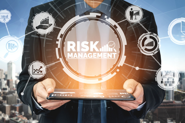 Navigating Credit Risk Management: From Assessment to Mitigation